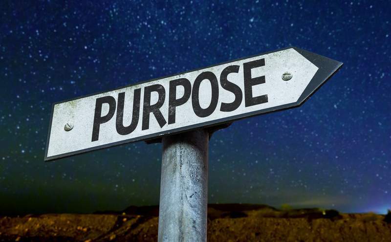 <span id="titleiswpReadMe_2471">WHAT IS YOUR PURPOSE – Part 1</span>