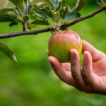 OVERCOMING TEMPTATION – Part 2