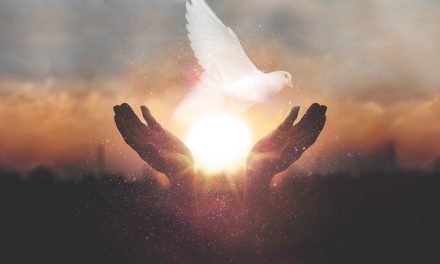 <span id="titleiswpReadMe_3282">THE HOLY SPIRIT – OUR DIVINE WITNESS</span>