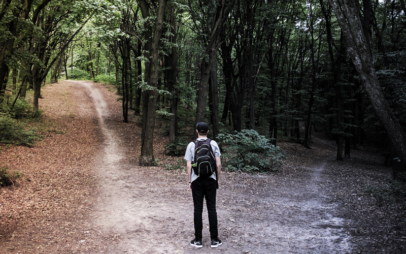 <span id="titleiswpReadMe_3903">WALKING IN THE LIGHT</span>