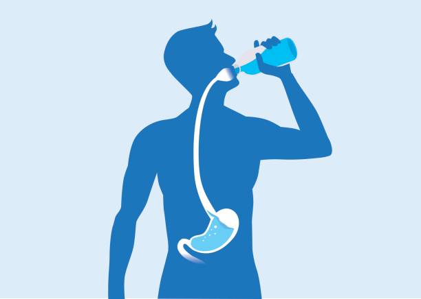 <span id="titleiswpReadMe_4782">WATER AND HUMAN HEALTH – Day 3</span>