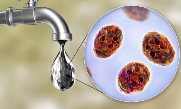 <span id="titleiswpReadMe_4790">WATER AND HUMAN HEALTH – Day 4</span>