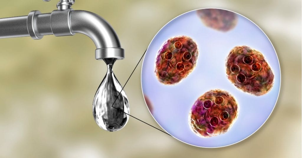 <span id="titleiswpReadMe_4790">WATER AND HUMAN HEALTH – Day 4</span>