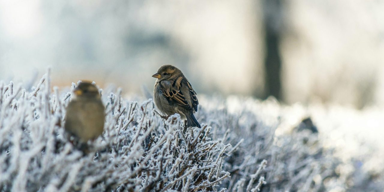 <span id="titleiswpReadMe_5319">GOD CAN FIX IT</span>