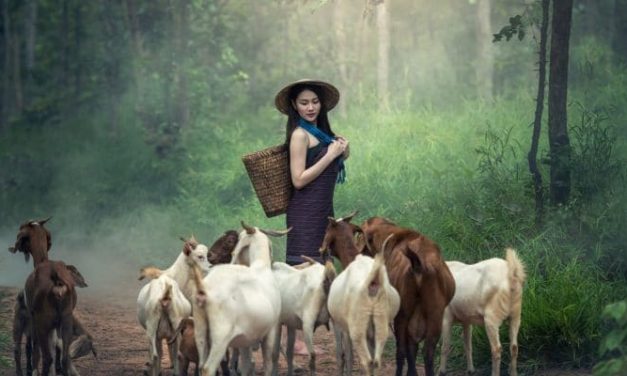 MADE FOR IMPACT: FRUITFUL LIVING