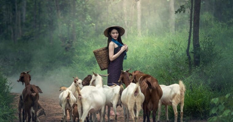 <span id="titleiswpReadMe_5378">MADE FOR IMPACT: FRUITFUL LIVING</span>