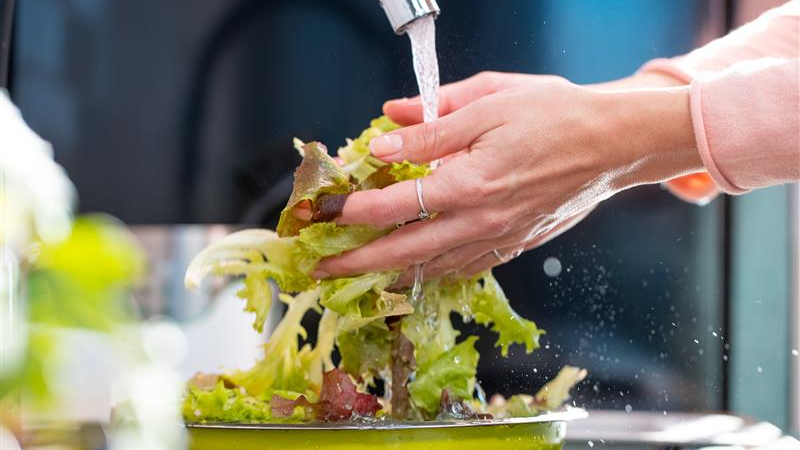 <span id="titleiswpReadMe_5413">BEST PRACTICES FOR SAFE FOOD HANDLING AT HOME</span>