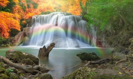 AWESOME GOD
