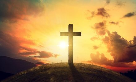HEAVENLY REWARD