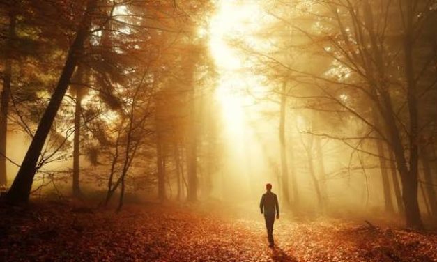 <span id="titleiswpReadMe_5732">WALKING IN THE SPIRIT</span>
