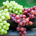GRAPES: TINY FRUITS WITH BIG BENEFITS