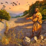 SEED TO THE SOWER